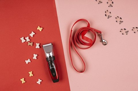CR 2821 STRZYŻARKA DLA ZWIERZĄT Z ŁADOWANIEM PRZEZ USB CR 2821 STRZYŻARKA DLA ZWIERZĄT Z ŁADOWANIEM PRZEZ USB