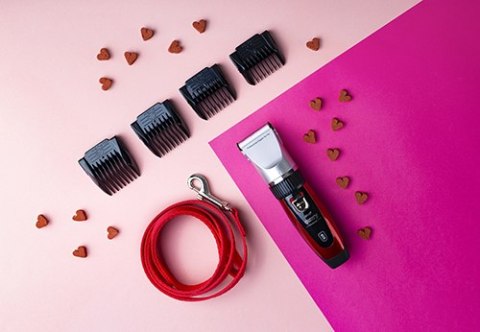 CR 2821 STRZYŻARKA DLA ZWIERZĄT Z ŁADOWANIEM PRZEZ USB CR 2821 STRZYŻARKA DLA ZWIERZĄT Z ŁADOWANIEM PRZEZ USB
