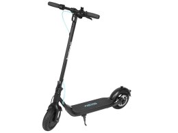 Hulajnoga elektryczna NEVIQ Horizon 350W 10Ah 2025
