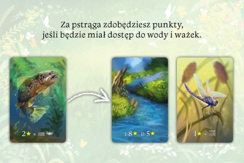 Gra ekosystem Gra ekosystem