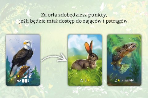 Gra ekosystem Gra ekosystem