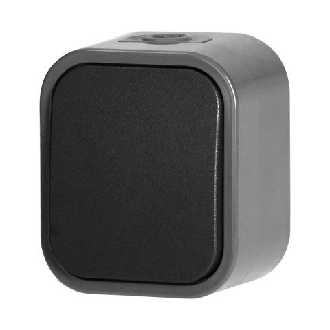 Łącznik n/t jednobiegunowy B2, 10A, 250V, IP54, WNT-1B2, szary/czarny Łącznik n/t jednobiegunowy B2, 10A, 250V, IP54, WNT-1B2, szary/czarny