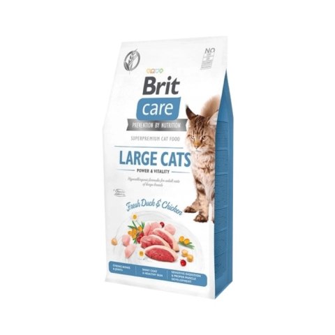 Brit Care Grain-Free Large Cats Power & Vitality Z Kaczką I Kurczakiem 2kg Brit Care Grain-Free Large Cats Power & Vitality Z Kaczką I Kurczakiem 2kg