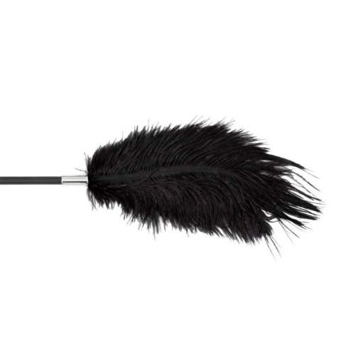 Fetish B-Series Tickler & Whip 1.0 Fetish B-Series Tickler & Whip 1.0