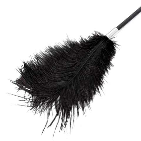 Fetish B-Series Tickler & Whip 1.0 Fetish B-Series Tickler & Whip 1.0