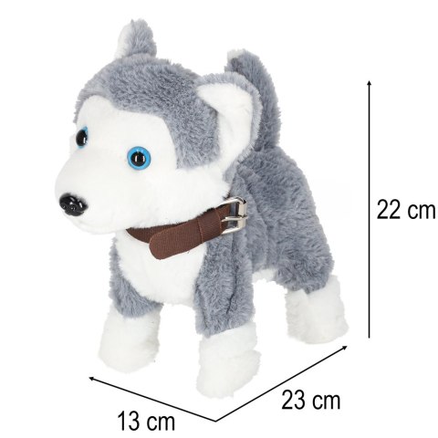 Piesek interaktywny na smyczy szczeka chodzi rusza ogonem Husky Piesek interaktywny na smyczy szczeka chodzi rusza ogonem Husky