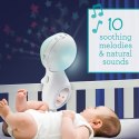 Infantino muzyczna karuzelka 3w1 zielona