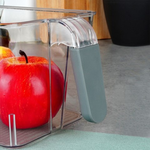 ORGANIZER DO LODÓWKI POJEMNIK Z UCHWYTEM 30X13X11.5CM EXCELLENT HOUSEWARE 229184 ORGANIZER DO LODÓWKI POJEMNIK Z UCHWYTEM 30X13X11.5CM EXCELLENT HOUSEWARE 229184