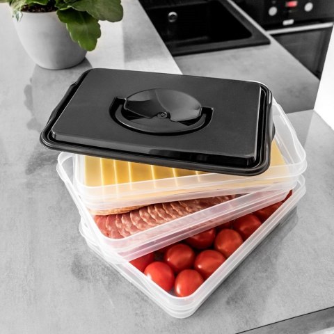 POJEMNIK NA WĘDLINY I SERY ORGANIZER DO LODÓWKI NA WĘDLINĘ SER 3-POZIOMOWY 3 X 600 ML VILDE 122617 POJEMNIK NA WĘDLINY I SERY ORGANIZER DO LODÓWKI NA WĘDLINĘ SER 3-POZIOMOWY 3 X 600 ML VILDE 122617