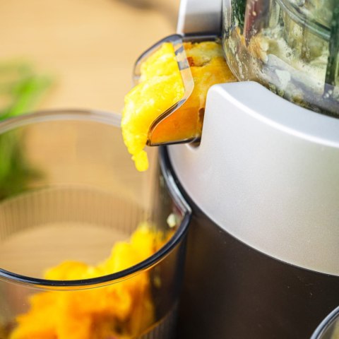 SOKOWIRÓWKA WOLNOOBROTOWA 180W DO OWOCÓW I WARZYW COLD PRESS KLAUSBERG KB-7871