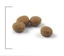 ROYAL CANIN Sterilised 37 10kg + 2kg ROYAL CANIN Sterilised 37 10kg + 2kg