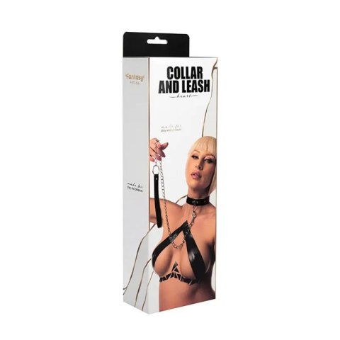 Collar with detachable leash Collar with detachable leash