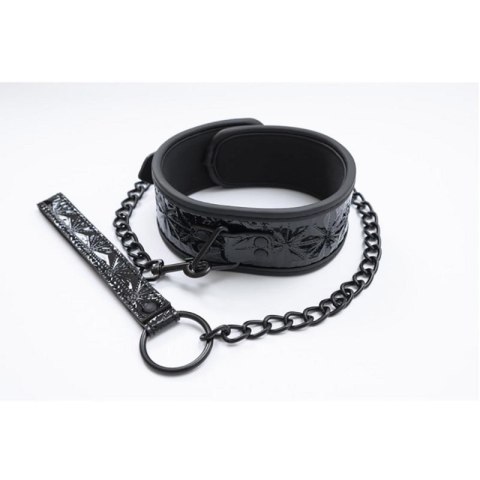 Collar with detachable leash Collar with detachable leash
