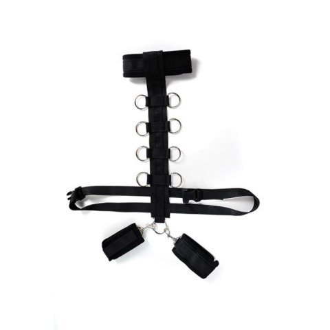 Harness with adjustable neck, belt and breastplate with rings Harness with adjustable neck, belt and breastplate with rings