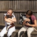 Zestaw Skippi - Hobby Horse Karo - srokaty i dodatkowy Kantar - błękitny