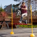 Zestaw Skippi - Hobby Horse Karo - srokaty i dodatkowy Kantar - błękitny