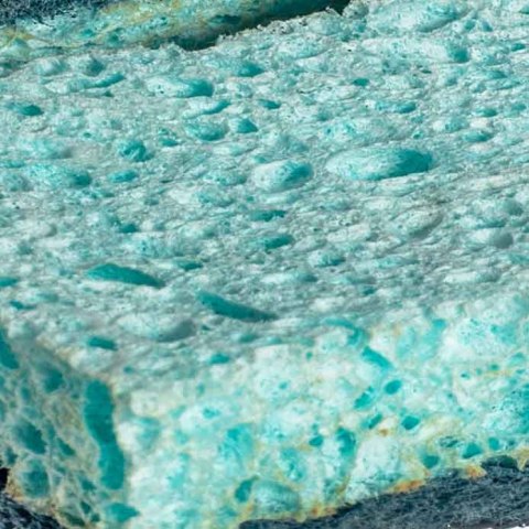 Zmywak wiskozowy z enzymami Vileda Pro Clean 2 szt.