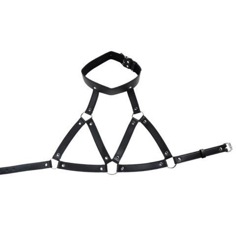 Adjustable neck and chest harness Adjustable neck and chest harness