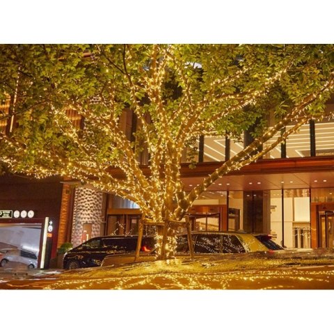 Zewnętrzne/wewnętrzne lampki choinkowe ryż 500 LED 17m, barwa ciepłe białe do dekoracji LAMP60CB