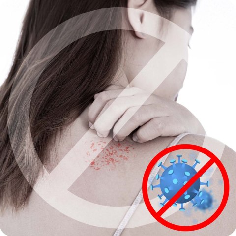 Parownica do ubrań 1600 W steamer Berdsen BD-311 Parownica do ubrań 1600 W steamer Berdsen BD-311