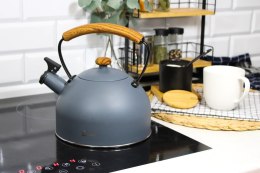 Czajnik stalowy z gwizdkiem tradycyjny indukcja 2.2L szary matowy BRUNBESTE BB-2461