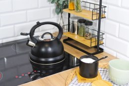 Czajnik stalowy z gwizdkiem tradycyjny indukcja 2.5L czarny BRUNBESTE BB-2406