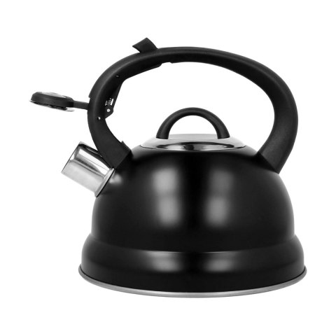 Czajnik stalowy z gwizdkiem tradycyjny indukcja 2.5L czarny BRUNBESTE BB-2406