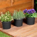 Doniczka ogrodowa plastikowa czarna okrągła mała 14,5 cm 3 szt. VILDE 339511 Doniczka ogrodowa plastikowa czarna okrągła mała 14,5 cm 3 szt. VILDE 339511