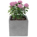 Doniczka ogrodowa plastikowa szara kwadratowa mała 20x17,5 cm VILDE 339319
