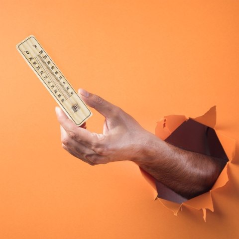 Termometr zewnętrzny i wewnętrzny analogowy wieszany MDF 22cm PROGARDEN 569289