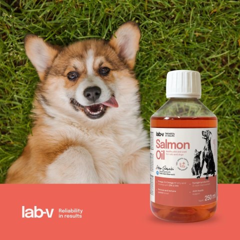 Lab-V Olej Z Łososia 100% Dla Psa I Kota W Każdym Wieku 250ml