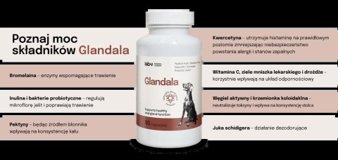 Lab-v Glandala Wsparcie Gruczołów Okołoodbytowych i Przewodu Pokarmowego 90 Kapsułek