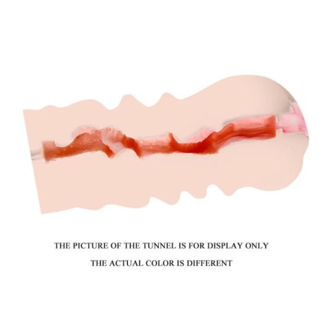 Baile 3D Realistic Pussy Stroker