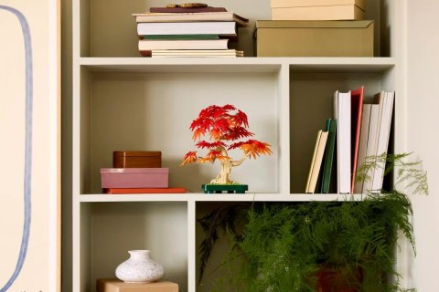 10348 - LEGO The Botanical Collection - Klon palmowy bonsai LEGO