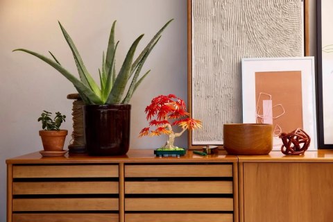 10348 - LEGO The Botanical Collection - Klon palmowy bonsai LEGO