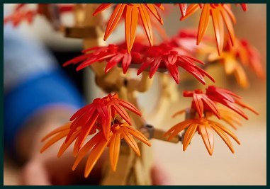 10348 - LEGO The Botanical Collection - Klon palmowy bonsai LEGO