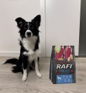 Sucha Karma Dla Psa RAFI Adult z Jagnięciną 3 kg - 1 szt. RAFI