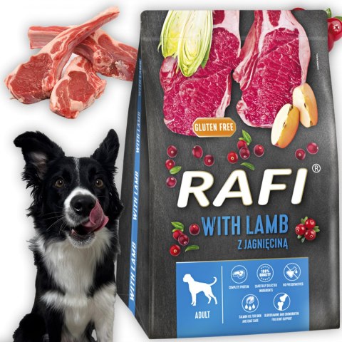 Sucha Karma Dla Psa RAFI Adult z Jagnięciną 3 kg - 1 szt. RAFI