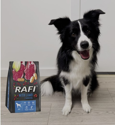 Sucha Karma Dla Psa RAFI Adult z Jagnięciną 3 kg - 2 szt. RAFI