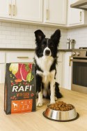 Sucha Karma Dla Psa RAFI Adult z Kaczką 3 kg - 2 szt. RAFI