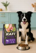 Sucha Karma Dla Psa RAFI Adult z Królikiem 3 kg - 2 szt. RAFI