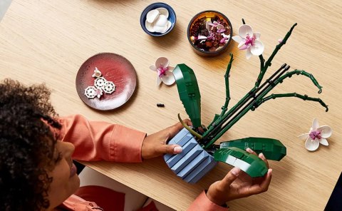 10311 - LEGO Icons - Orchidea LEGO