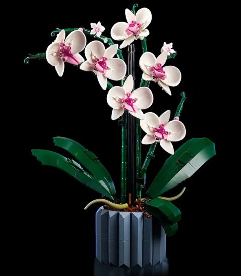 10311 - LEGO Icons - Orchidea LEGO
