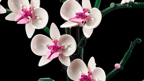 10311 - LEGO Icons - Orchidea LEGO