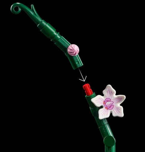 10311 - LEGO Icons - Orchidea LEGO