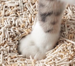 Cat Sand Love4pet Żwirek Zbrylający Tofu Dla Kota 2,5kg 4,3L