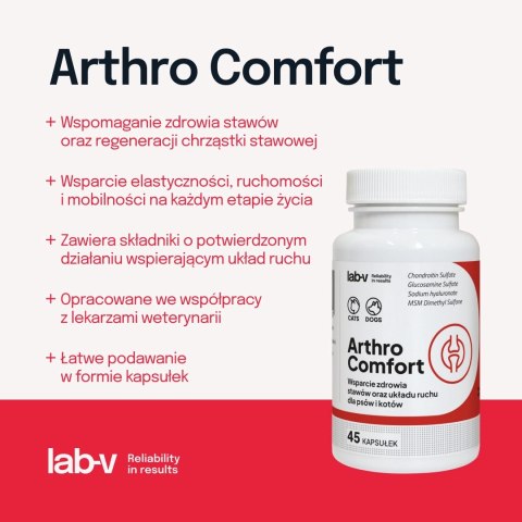 Lab-v Arthro Comfort Kompleksowe Wsparcie Zdrowia Stawów I Układu Ruchu Dla Psów I Kotów 45 Kapsułek