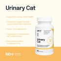 Lab-v Urinary Cat Wsparcie Układu Moczowego Dla Kotów 45 Kapsułek