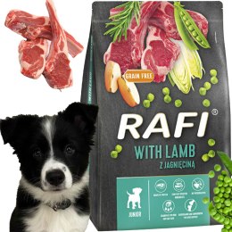 Sucha Karma Dla Psa RAFI JUNIOR z Jagnięciną 3 kg - 1 szt. RAFI