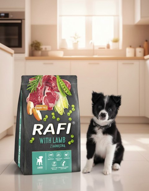 Sucha Karma Dla Psa RAFI JUNIOR z Jagnięciną 3 kg - 1 szt. RAFI